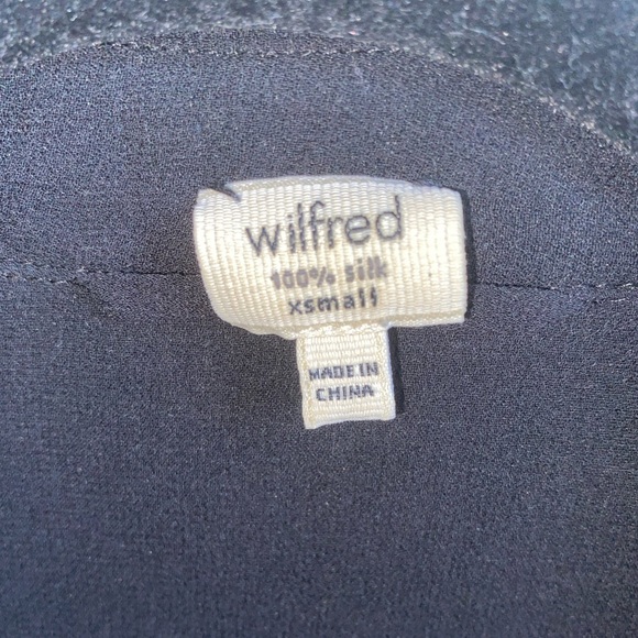 Aritzia Wilfred Baye Sheer Silk Tunic Dress - Picture 6 of 6